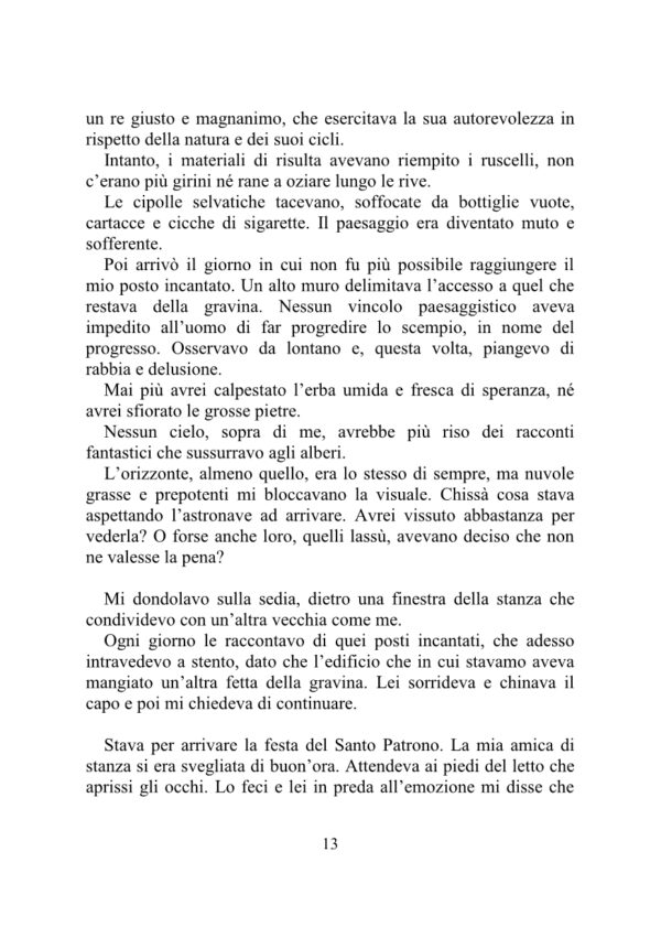 LINALI' - E altre piccole storie sfuse (Annarita Campagnolo) - immagine 6