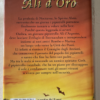 IL GRANDE SOGNO DI ALI D'ORO (Kenneth Oppel) - immagine 2